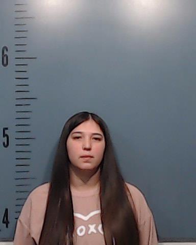 Casillas, Anna Nycole booking photo