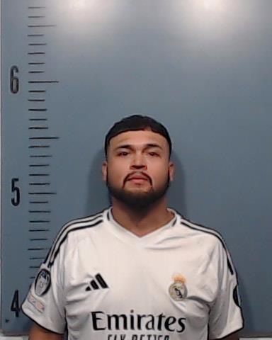 Alaya, Noah Anthony booking photo