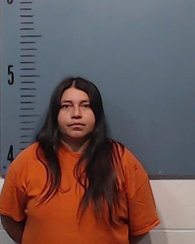 Salazar, Rosa Lsela booking photo