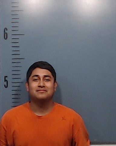 Alvarez-Vargas, Erick Adam booking photo