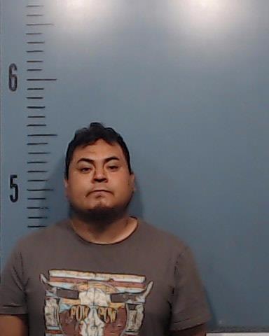 Martinez-Castillo, Hector Alejandro booking photo