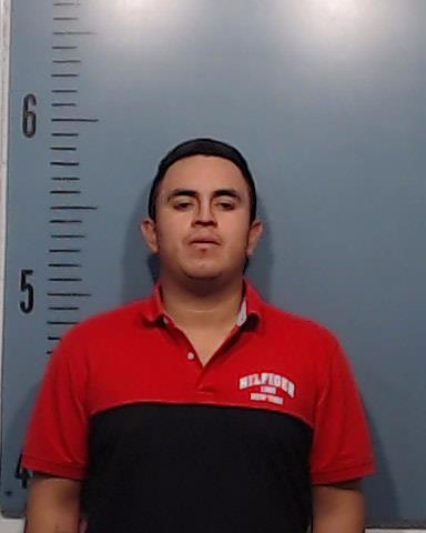 Sanchez-Arevalo, Emmanuel booking photo