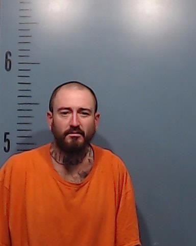 Logan, Brandon Phillip booking photo