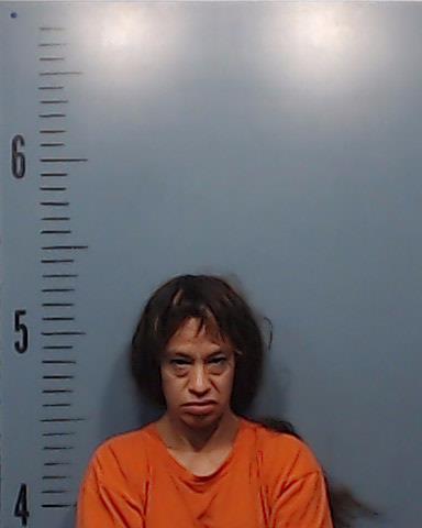 Sarmiento, Lisa Ann booking photo