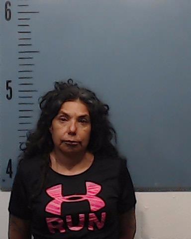 Reed, Melissa Michelle booking photo