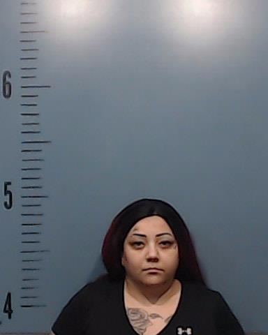 Rocha, Dominique Nicole booking photo