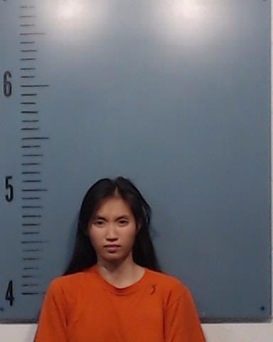 Nguyen, Ly Thi Mai booking photo