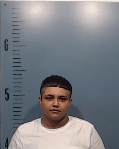 Jaramillo, Adriana Lee booking photo
