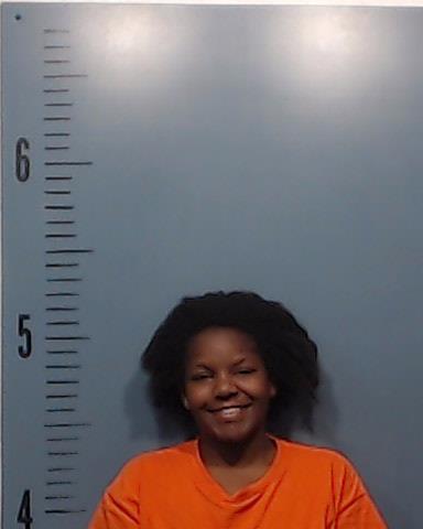 Fletcher, Shaeleigh Ann booking photo