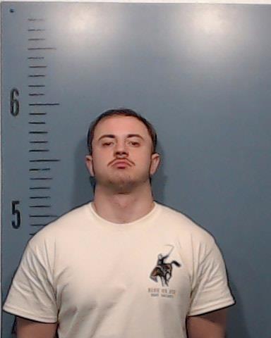 Brown, Dylan Keith booking photo