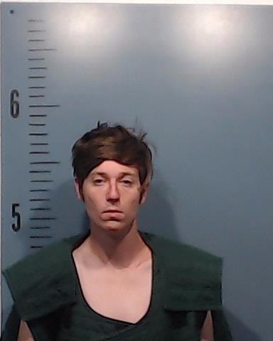 Rice, Andrew Allen Robert booking photo