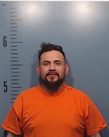 Tonche, Elias, Jr. booking photo