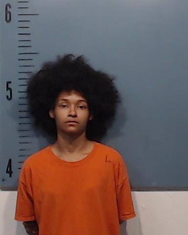 Ballesteros, Anjelica Amber booking photo