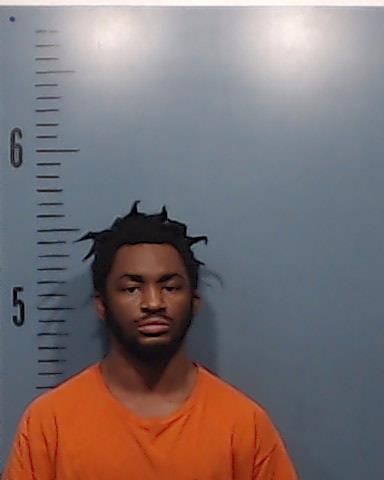 Gonzalez, Tryanthony Lamark booking photo