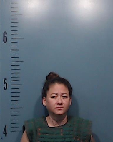 Villarreal, Crystal Cortez booking photo