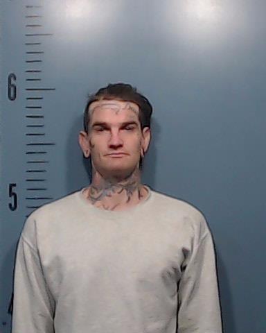 Dyess, Charles Devlyn booking photo