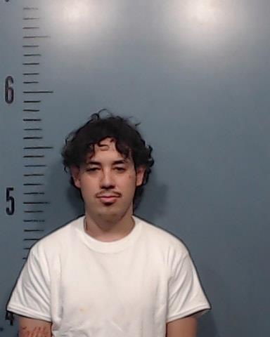 Gallegos, David Huerta booking photo