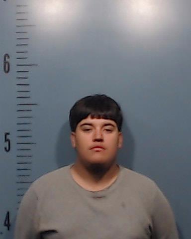 Guerra, Jose Luis, Jr. booking photo