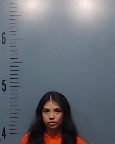 Silva, Liliya Desiree booking photo