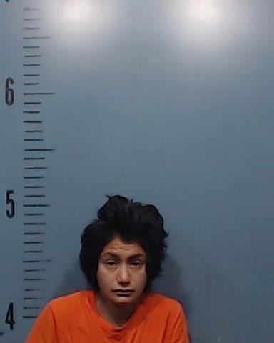 Ortiz, Dominique Aliyah booking photo