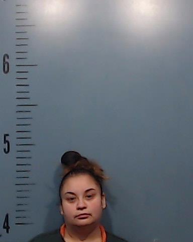 Trevino, Jennifer booking photo