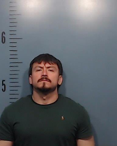 Guzman Gervasio, Rodrigo booking photo