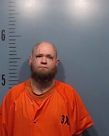 Williams, Jonathan Matthew booking photo