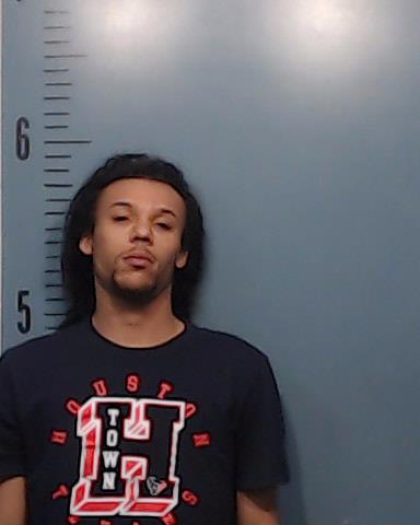 Miller, Andrew Ray booking photo