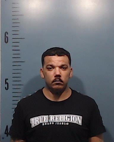 Skinner, Odelle Lee booking photo