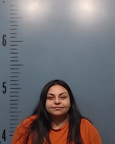 Tejeda, Bianca Lynn booking photo