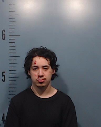Gallegos, David Huerta booking photo