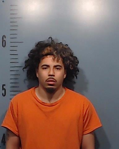 Williams, Jayden Lavant booking photo