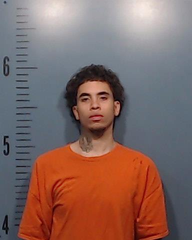 Williams, Solomon Nathaniel booking photo