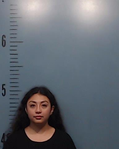 Chavez, Marixza booking photo