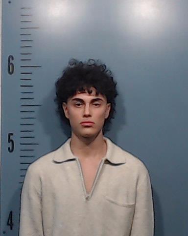 Delossantos, Orlando Isai booking photo