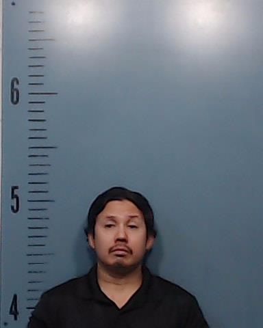 Pleimann, Christopher W booking photo