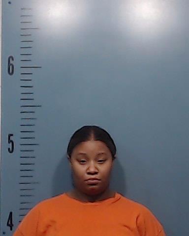 Norris, Britany Brianna booking photo