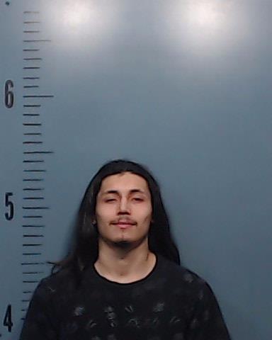 Valerio Payan, Hector booking photo