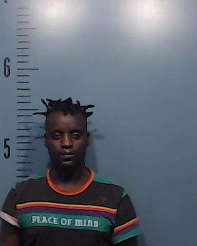 Gahoro, Viniyasi booking photo