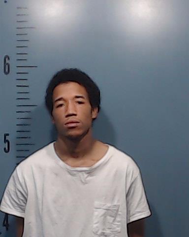 Livingston, Anthony D Wight, Jr. booking photo