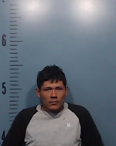 Herrera-Hernandez, Elvin booking photo