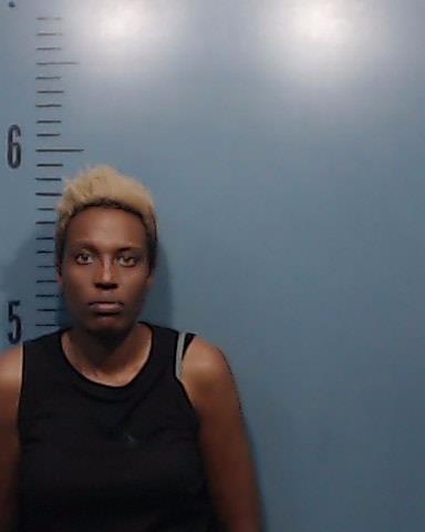 Metz, Shawntel Delores booking photo