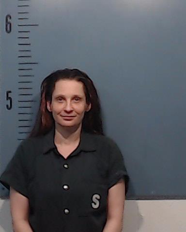 Ellis, April Lynn booking photo