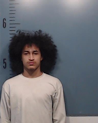 Davis, Chance Diego Diaz booking photo