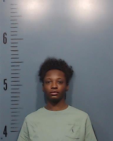 Word, Geralyn Laniece booking photo