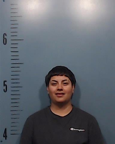 Cerna, Araceli Marie booking photo