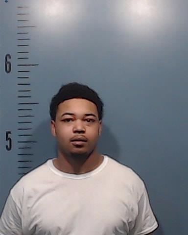 Artis, Janavious Lamont booking photo