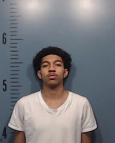 Mcdaniel, Julius Maurice booking photo