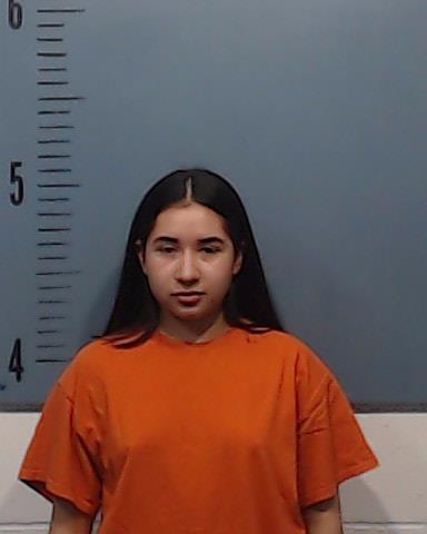 Sotelo, Cristina Ileanah booking photo