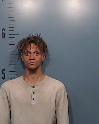Brown, Darius Lemont booking photo